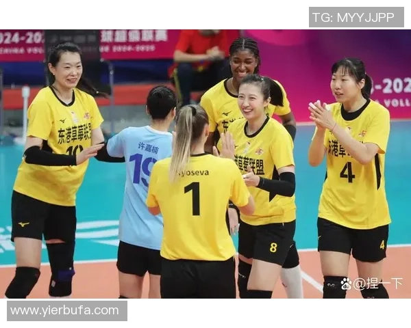 辽宁女排与河南女排激战CCTV直播精彩瞬间回顾与分析